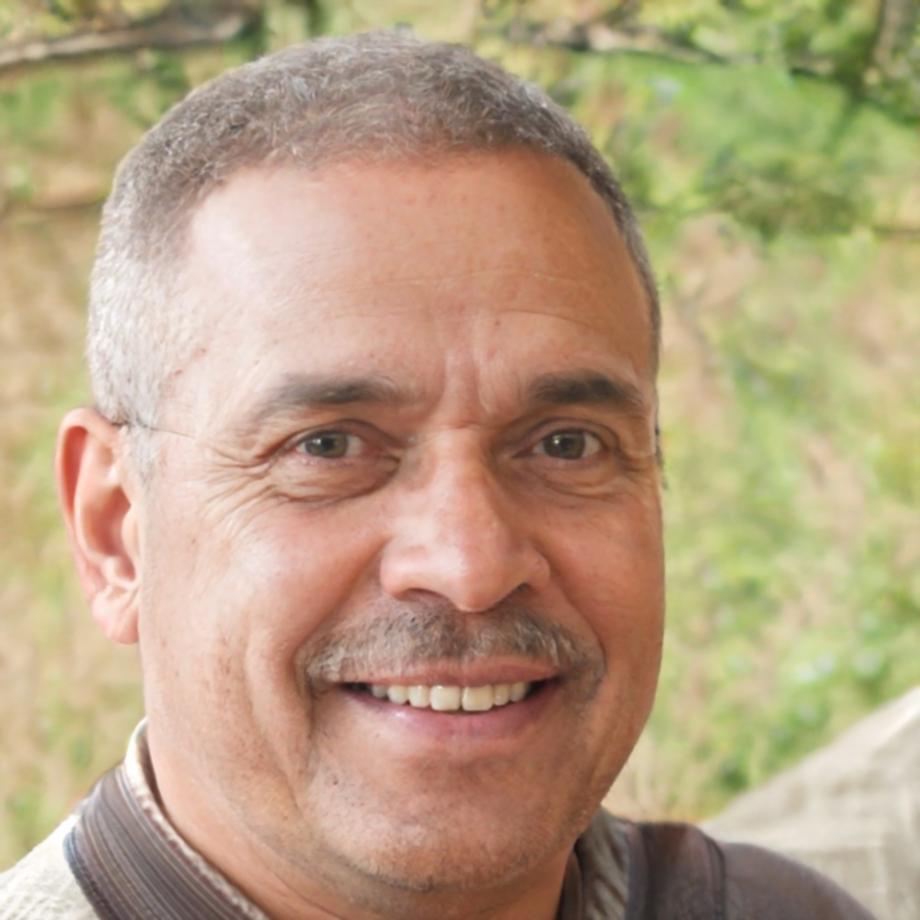 Darko Petrović configuring search analytics